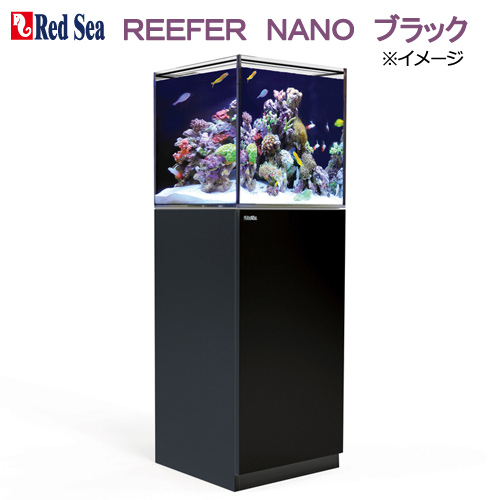 レッドシー　ＲＥＥＦＥＲ　ＮＡＮＯ　ブラック　オーバーフロー水槽　３個口　４５ｃｍ水槽（１セット）