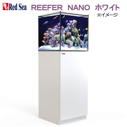 レッドシー　ＲＥＥＦＥＲ　ＮＡＮＯ　ホワイト　オーバーフロー水槽　３個口　４５ｃｍ水槽（１セット）