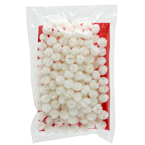 Ｃａｖｉｔｙ　キャビティ　１Ｌ　物理・生物ろ過　超軽量　ろ材