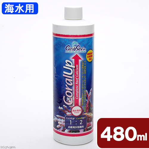 カミハタ　カリブシー　コーラルアップ　４８０ｍｌ