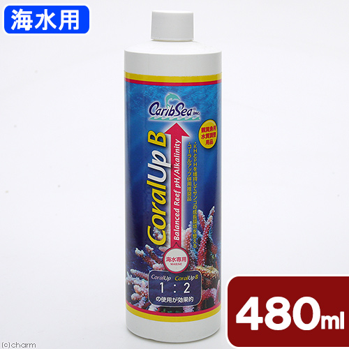 カミハタ　カリブシー　コーラルアップＢ　４８０ｍｌ