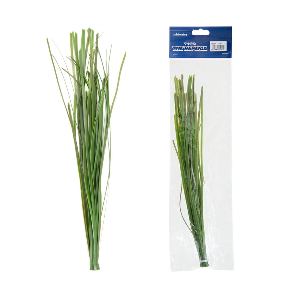 ＬＳＳ研究所　レプリカサンゴ　グラス　ＴＲ－Ｓ２　３７ｃｍバラ