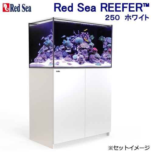 （超大型）レッドシー　ＲＥＥＦＥＲ　２５０　Ｇ２＋　ホワイト　本州四国送料無料・同梱不可・代引不可　５００サイズ　３個口