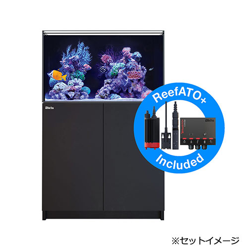 （超大型）レッドシー　ＲＥＥＦＥＲ　２５０　Ｇ２＋　ブラック　本州四国送料無料・同梱不可・代引不可　６００サイズ　３個口