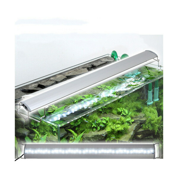 アクロ　ＯＶＡＬ　ＬＥＤ　９００　５５００ｌｍ　ＢＲＩＧＨＴ　水槽　照明　熱帯魚　アクアリウム　ライト