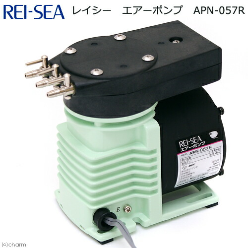 レイシー　エアーポンプ　ＡＰＮ－０５７Ｒ