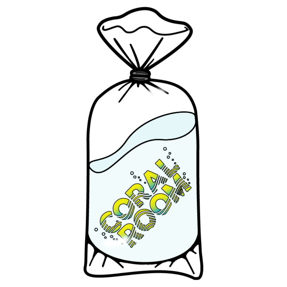 ＣＯＲＡＬ　ＲＯＯＭ　透けてる！パッキングフィッシュパックのロゴステッカー（３枚入り）