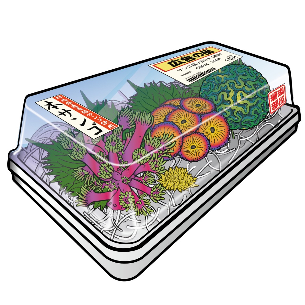 ＣＯＲＡＬ　ＲＯＯＭ　本サンゴ　サンゴの三種盛り合わせ（養殖）のロゴステッカー（１枚）