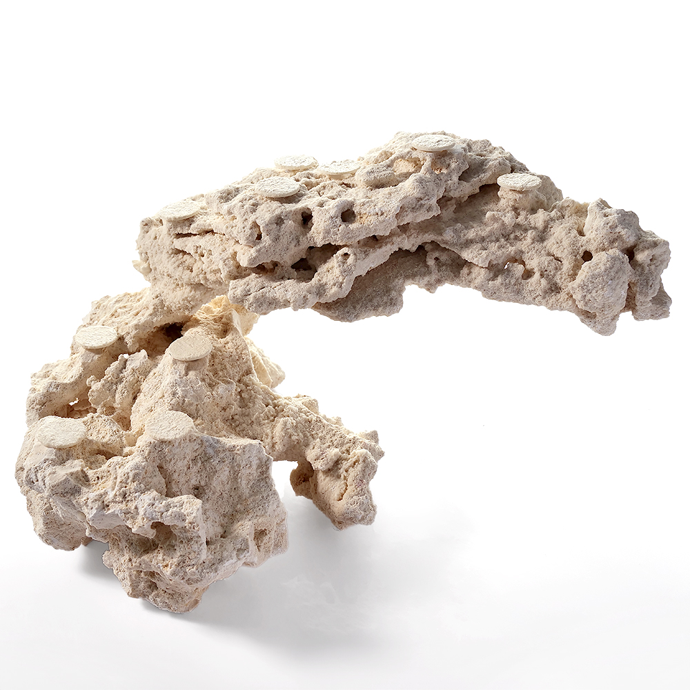 一点物　マルコロック　カスタムフラグベース　５４２２９４　コーラルロック