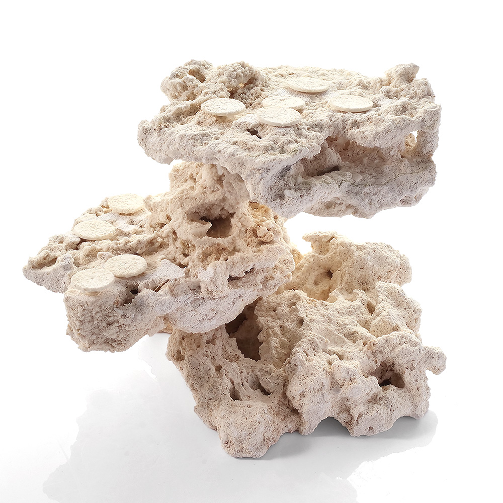 一点物　マルコロック　カスタムフラグベース　５４２２９５　コーラルロック