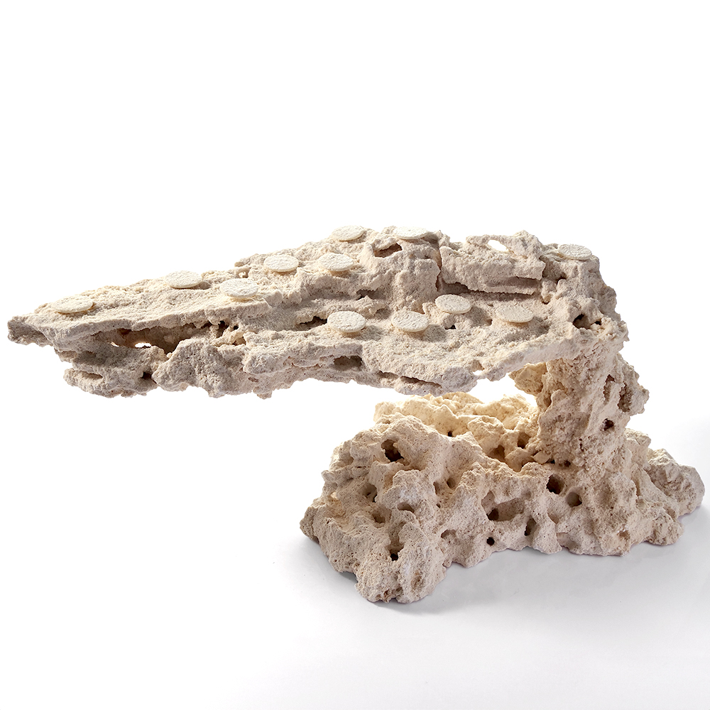 一点物　マルコロック　カスタムフラグベース　５４２２９６　コーラルロック