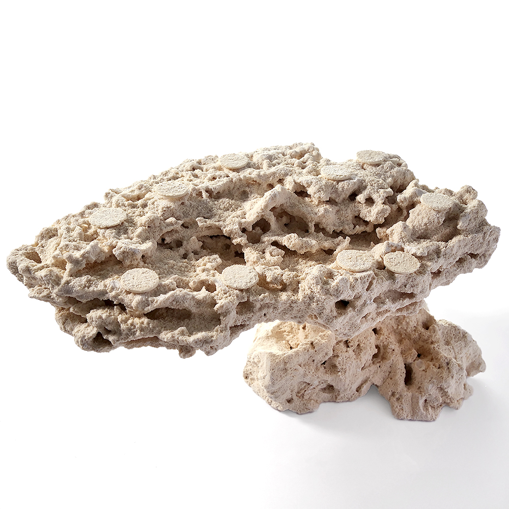 一点物　マルコロック　カスタムフラグベース　５４２２９９　コーラルロック