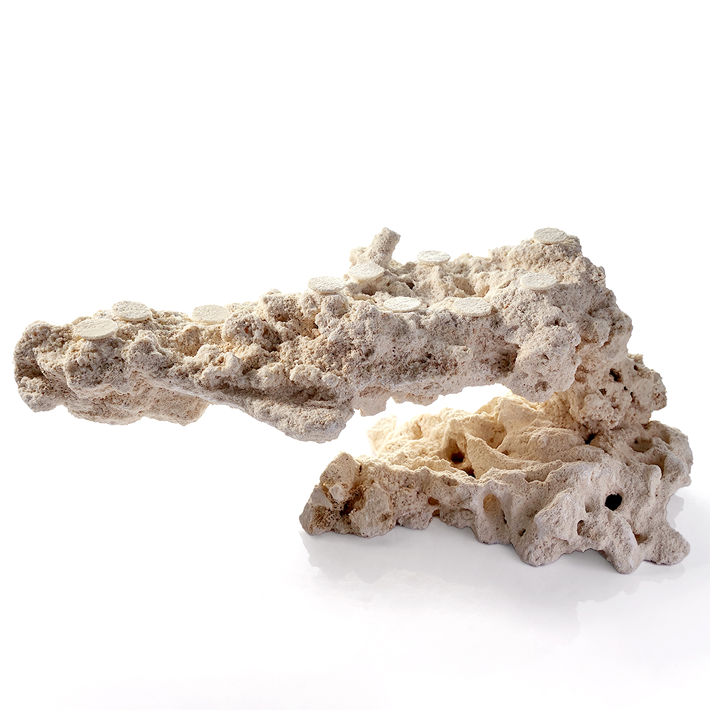 一点物　マルコロック　カスタムフラグベース　５４２３０１　コーラルロック