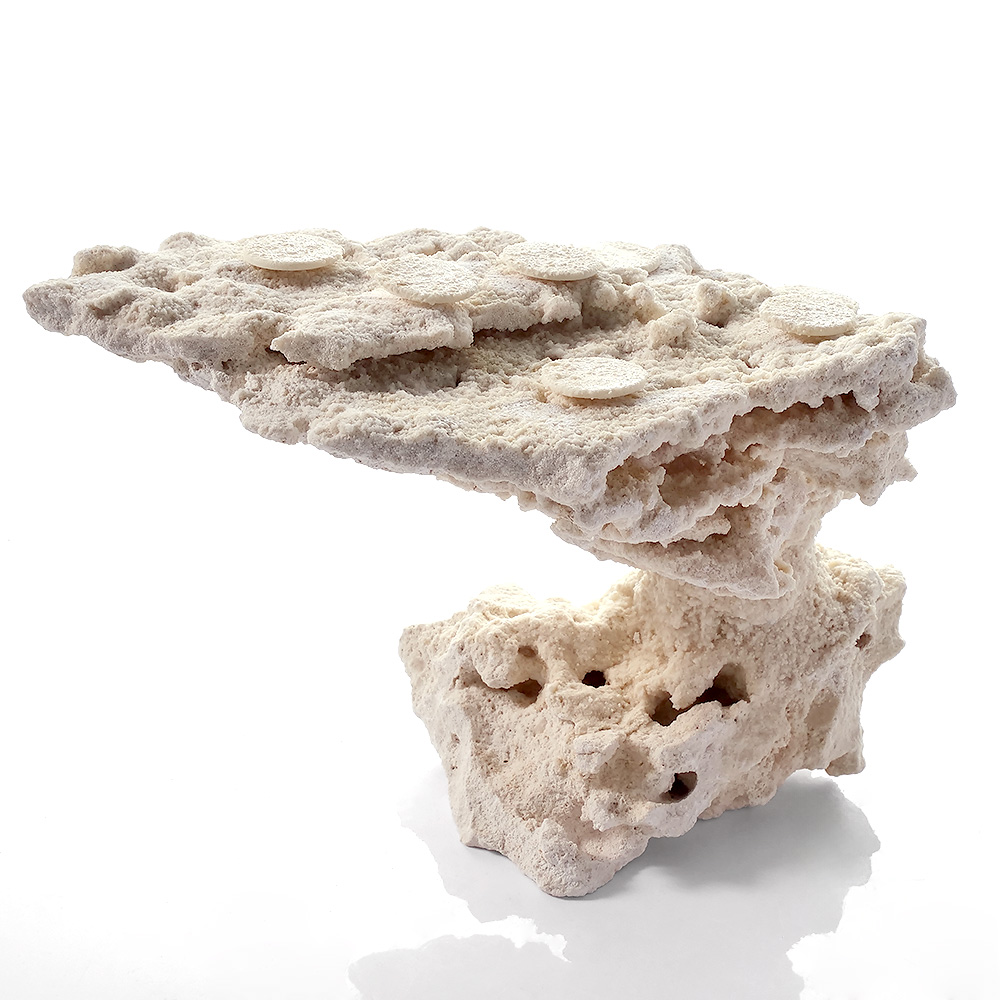 一点物　マルコロック　カスタムフラグベース　５４２３０５　コーラルロック