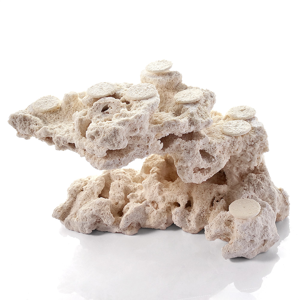 一点物　マルコロック　カスタムフラグベース　５４２３０７　コーラルロック