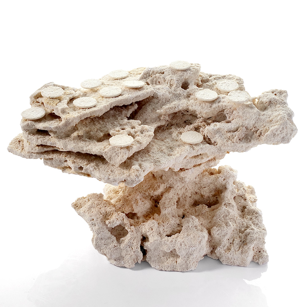 一点物　マルコロック　カスタムフラグベース　５４２３０８　コーラルロック