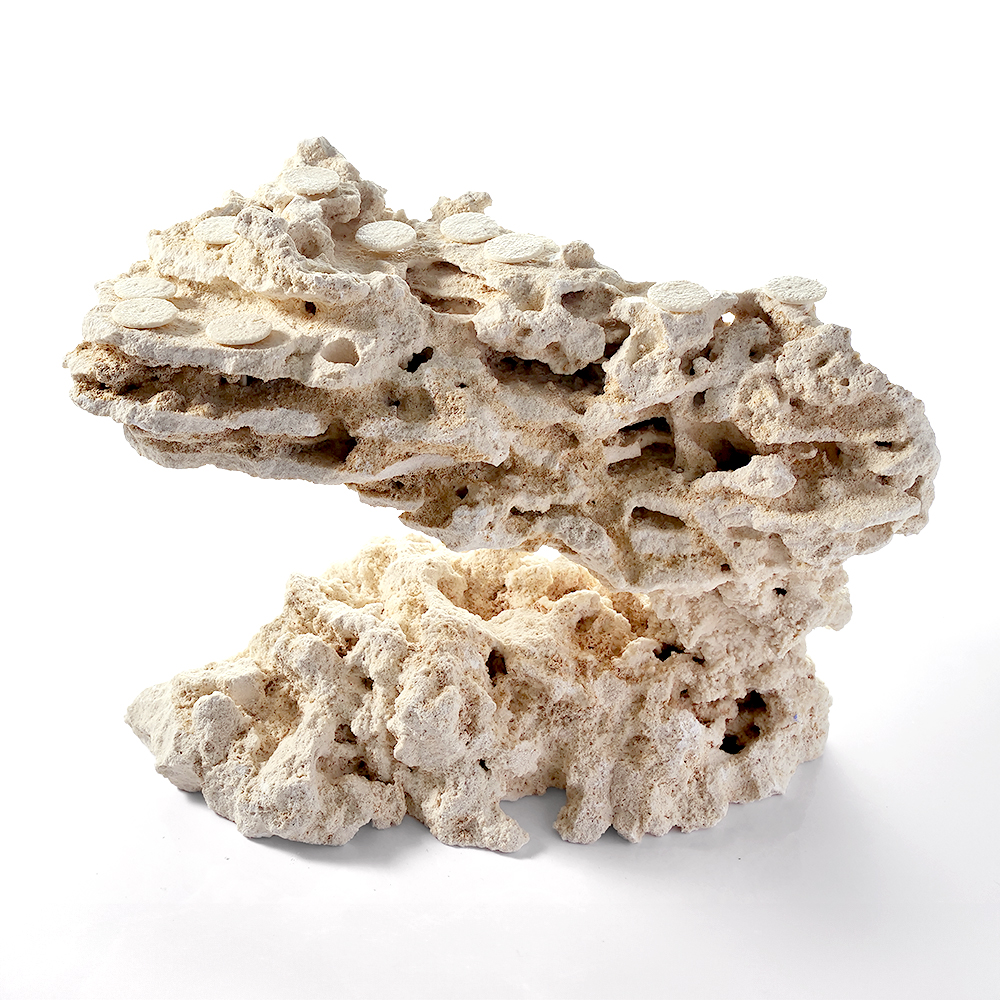 一点物　マルコロック　カスタムフラグベース　５４２３１１　コーラルロック