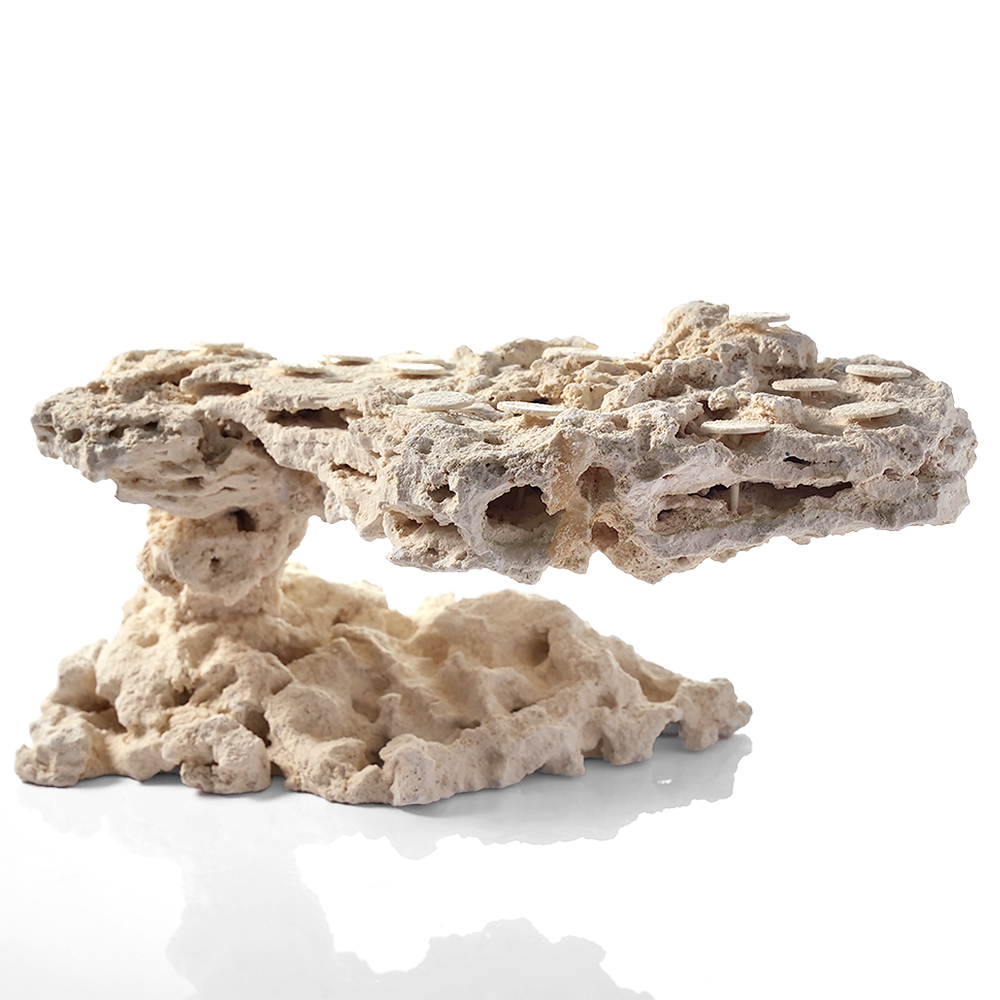 一点物　マルコロック　カスタムフラグベース　５４２３１３　コーラルロック