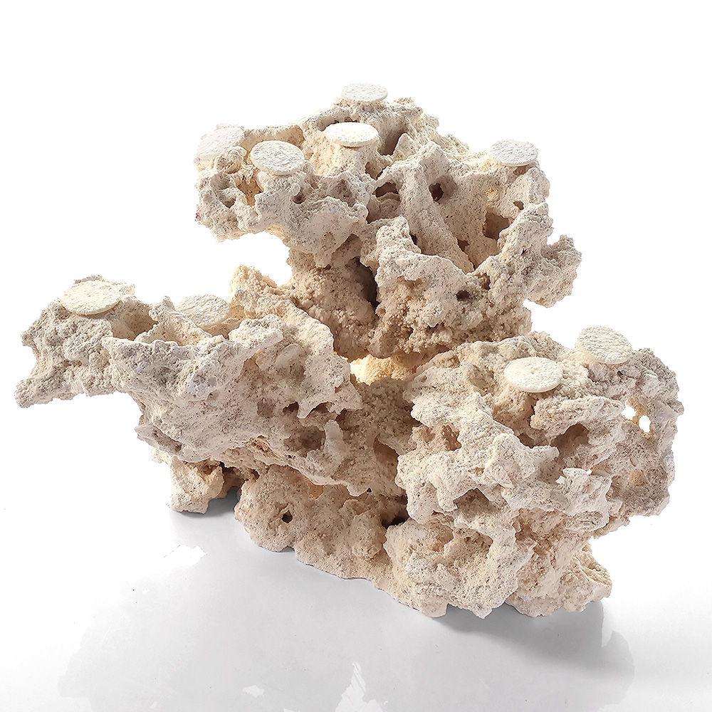 一点物　マルコロック　カスタムフラグベース　５４２３４４　コーラルロック