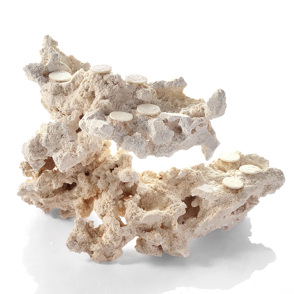 一点物　マルコロック　カスタムフラグベース　５４２３５６　コーラルロック