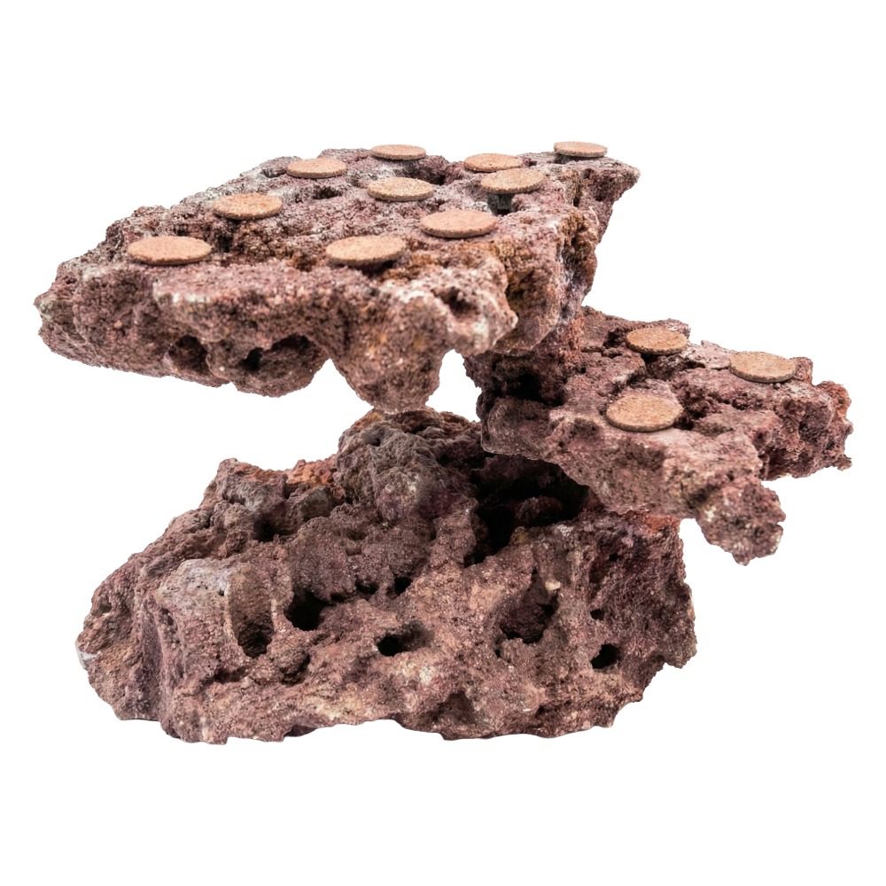 一点物　マルコロック　カスタムフラグベース　コーラインレッド　スライスハング　５４２４７７