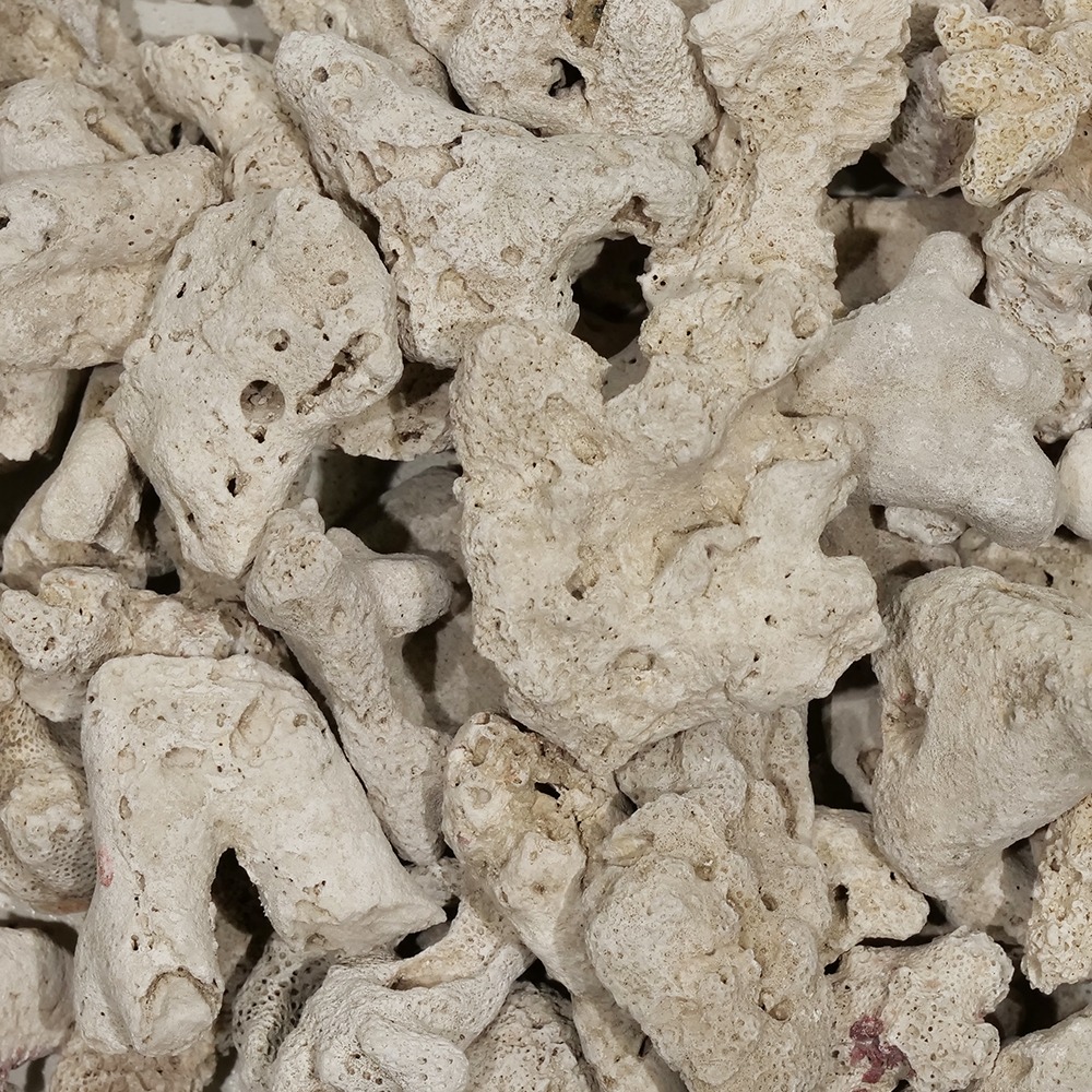 ＃４０　Ｃ．Ｐ．Ｆａｒｍ　天然サンゴ砂　＃４０　Ｎａｔｕｒａｌ　ｃｏｒａｌ　ｓａｎｄ　３Ｌ