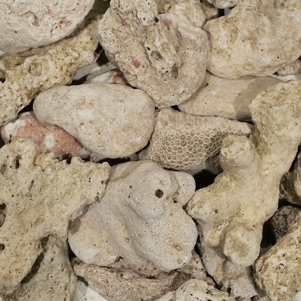 ＃１００　Ｃ．Ｐ．Ｆａｒｍ　天然サンゴ砂　＃１００　Ｎａｔｕｒａｌ　ｃｏｒａｌ　ｓａｎｄ　３Ｌ