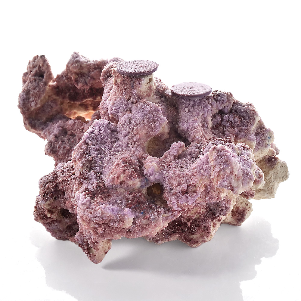 一点物　マルコロック　カスタムフラグベース　リアルコーティング　ベース　５４２８８３