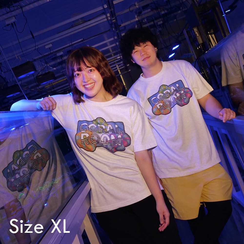 ＣＯＲＡＬ　ＲＯＯＭ　スコリミアロゴ　アッシュ　Ｔシャツ　ＸＬ