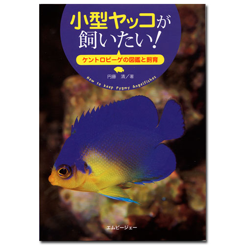 アクアライフの本　小型ヤッコが飼いたい！　書籍