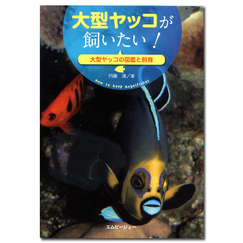 アクアライフの本　大型ヤッコが飼いたい！　書籍